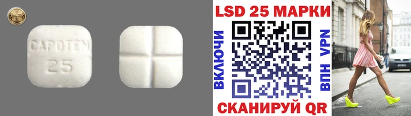 блэк спрут сайт  Почеп  Лсд 25 экстази кислота  где найти  