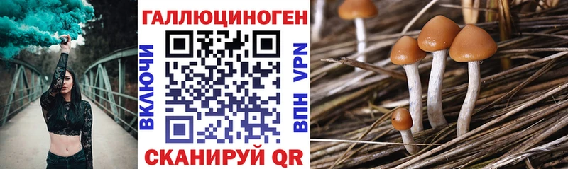 Галлюциногенные грибы прущие грибы  купить   Почеп 
